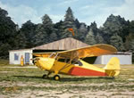 "Cross Country Champ" - Sam Lyons - Aeronca Champ Aviation Art